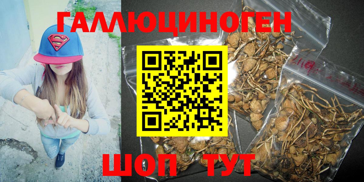 Джанкой  Псилоцибиновые грибы Cubensis  Вход с VPN 